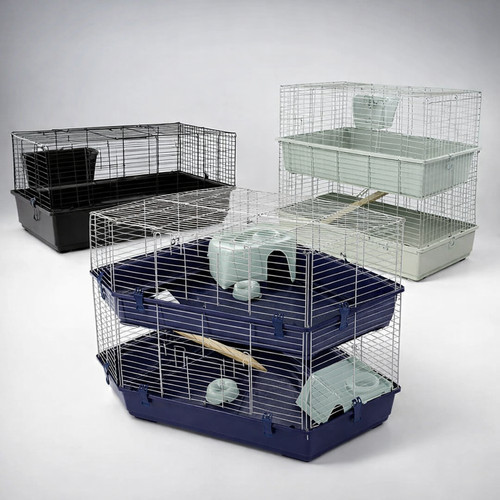 Rabbit guinea pig - rabbit,