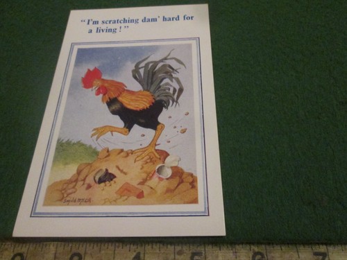 Donald mcgill comic postcard - donald,