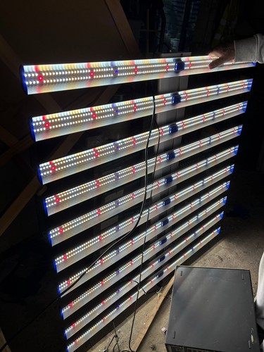1000w led grow light - 1000w,
