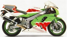 Complete stickers set for ZXR