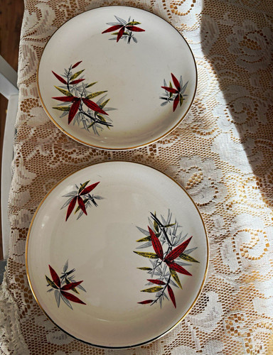 Victoria pottery tynemouth - pottery,