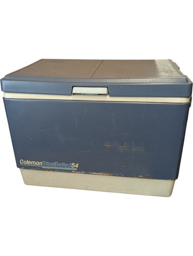 Coleman steel belted - 54, ice