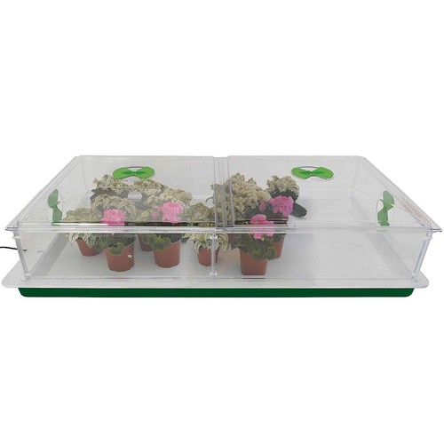 Large vitopod propagators - vitopod,
