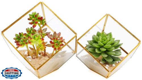 Elegantlife glass geometric - elegantlife,