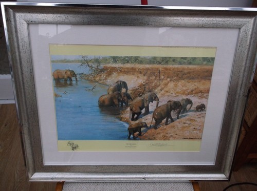 David shepherd obe the - shepherd,