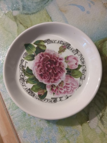 Portmeirion rose millennium - portmeirion,