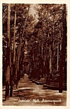 Dorset Postcard Bournemouth 1914 Real Photograph Invalids Walk Tree Lined Avenue