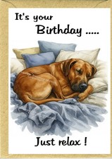 Rhodesian Ridgeback Dog