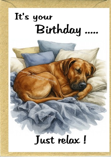 Rhodesian ridgeback dog - rhodesian,