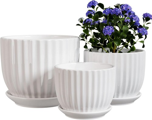 White plant pots - pots, set