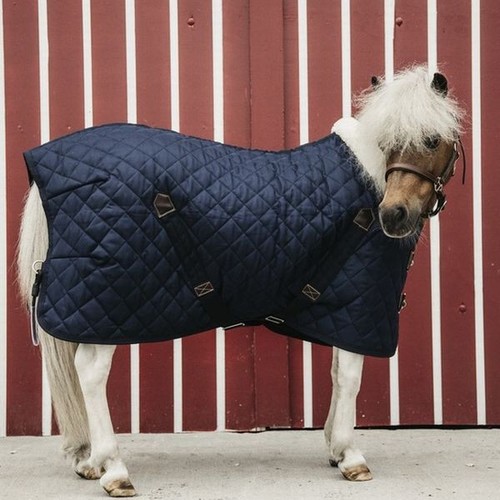 Kentucky winter stable - winter, rug
