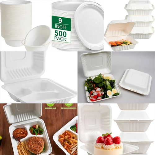 Bagasse food containers - bagasse,