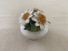 Radnor Fine Bone China