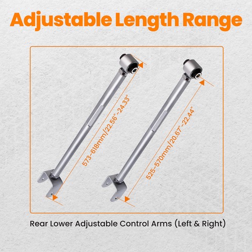 Rear lower camber control - rear,