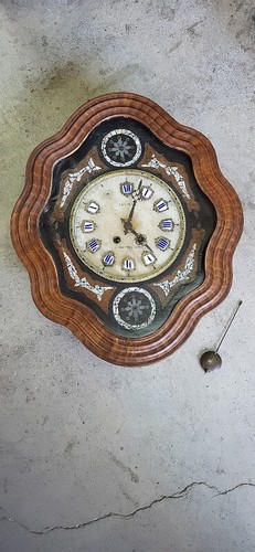 Bovine eye clock - bovine,