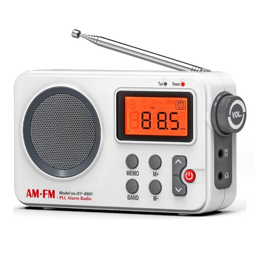 Portable digital world band - 1x,