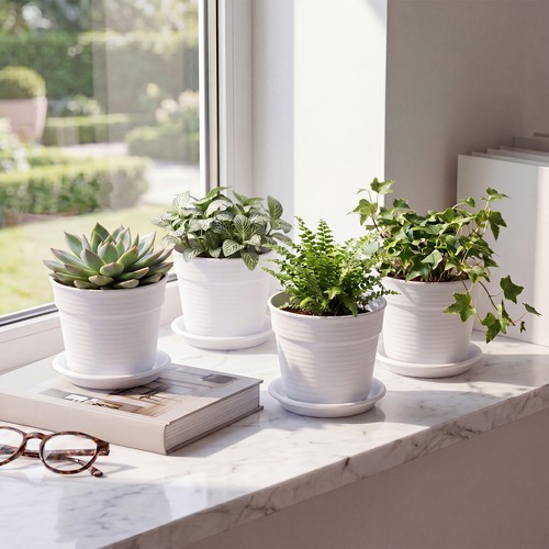 Pack plastic plant - plant, pots