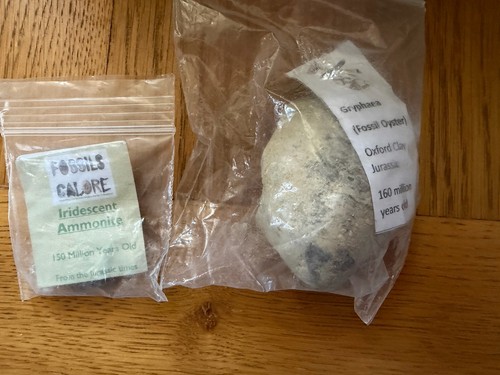 Fossils