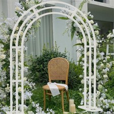 Unique Wedding Arch Frame