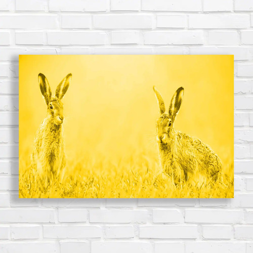 Easter bunny hares - easter,