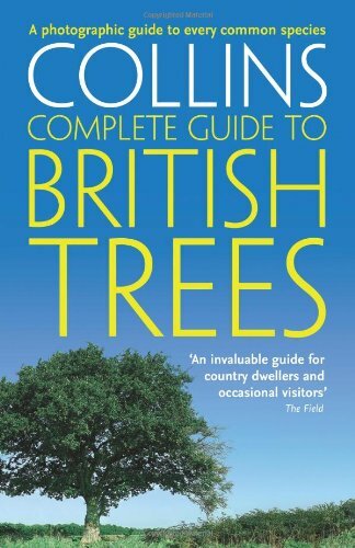 British trees photographic - trees:,