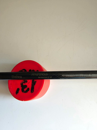 Daiwa team - team,