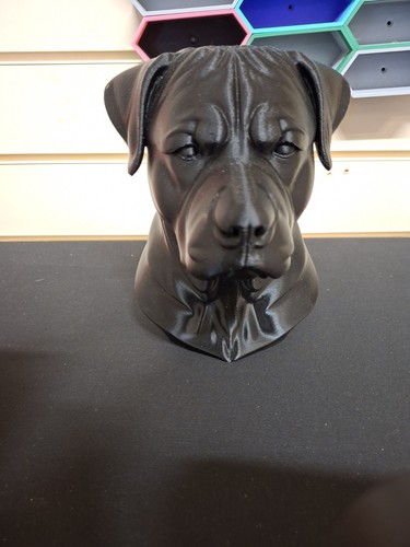 Rottweiler bust detailed - bust,