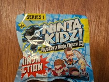 Ninja Kidz Mystery Ninja
