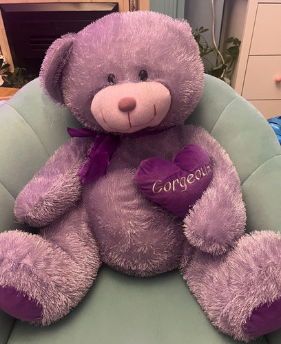 Large purple teddy bear - large,