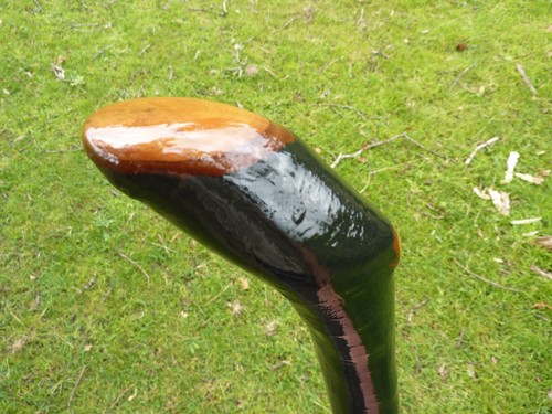 Huge irish blackthorn - irish,