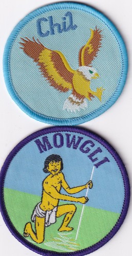 Boy scout badges cub leader - badges,