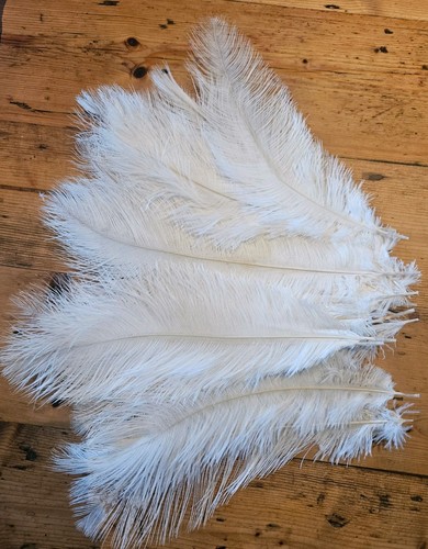 White ostrich feathers - white,