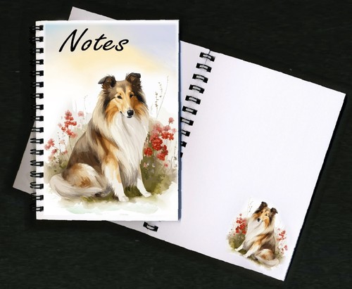 Rough collie dog - rough,