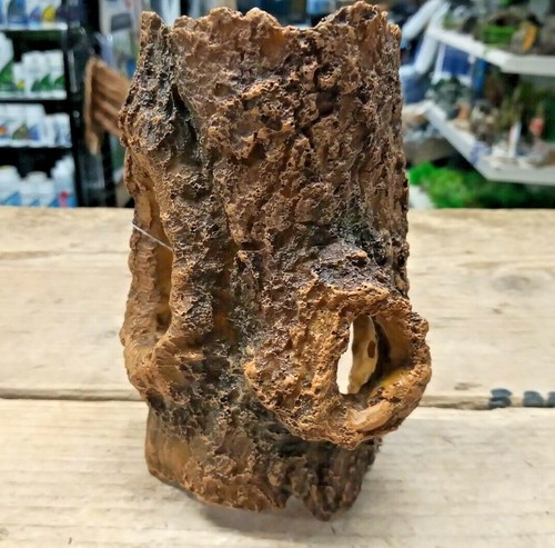 Small log cave tree stump - log,