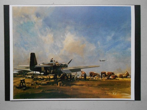 Military aviation print - military, print-
