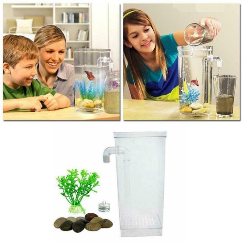 Small fish tank self - fish,