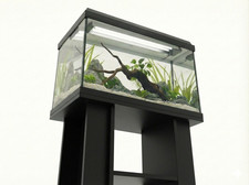 **BRAND NEW** Fish Tank