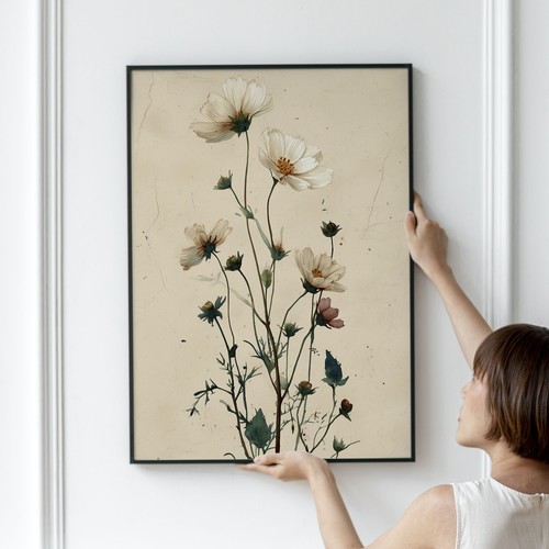 Wildflower study meadow - wildflower,