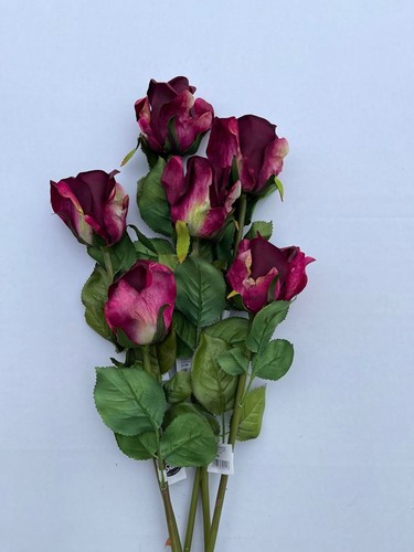 Dark purple rose - dark,