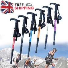 1 Pair of Trekking Poles