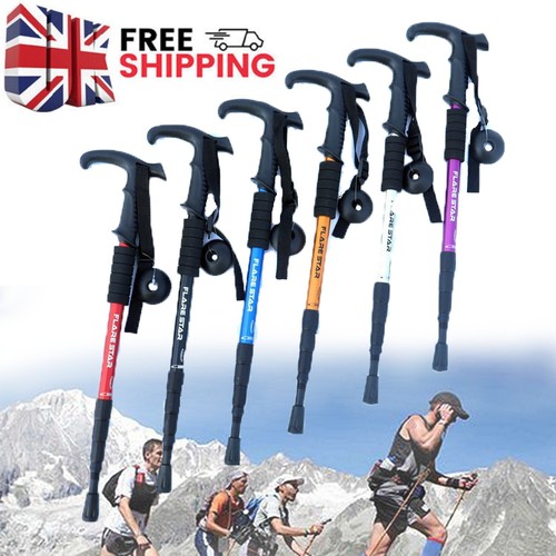 Pair trekking poles - of,