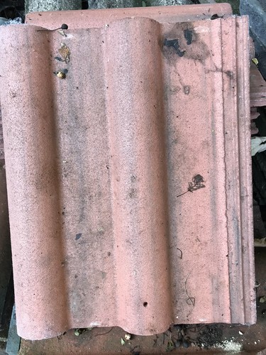 Roof tiles double - roof, roman