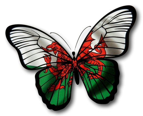 Beautiful butterfly design - beautiful,