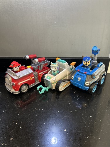 Paw patrol everest chase and - paw,