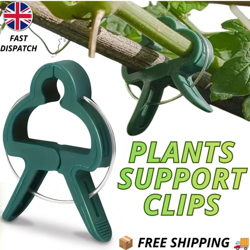 Reusable vine plant - vine, support