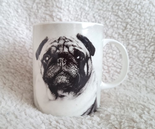 Rachael hale pugging lovely - rachael,