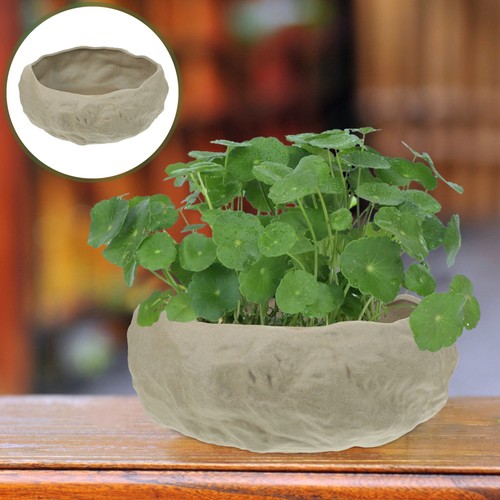Daffodil planter ceramic - daffodil,