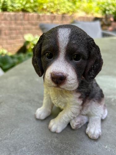 Vivid arts springer spaniel - vivid,