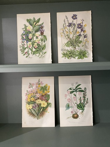 Set medium size - of,