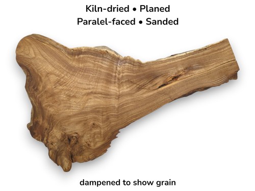 Japanese pagoda tree root - japanese,